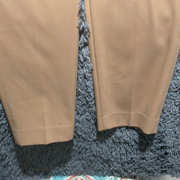 Like new! Tan Ann Taylor ankle/slim pant. No pockets. - Picture 7 of 7